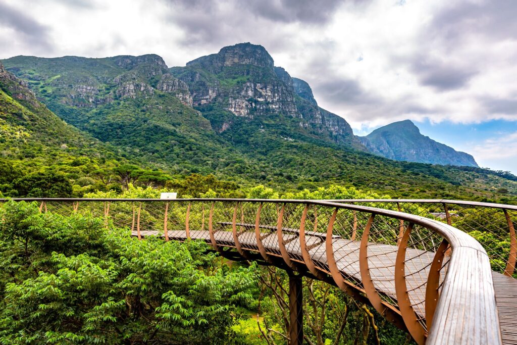 10 Must-See Nature Spots Around Cape Town